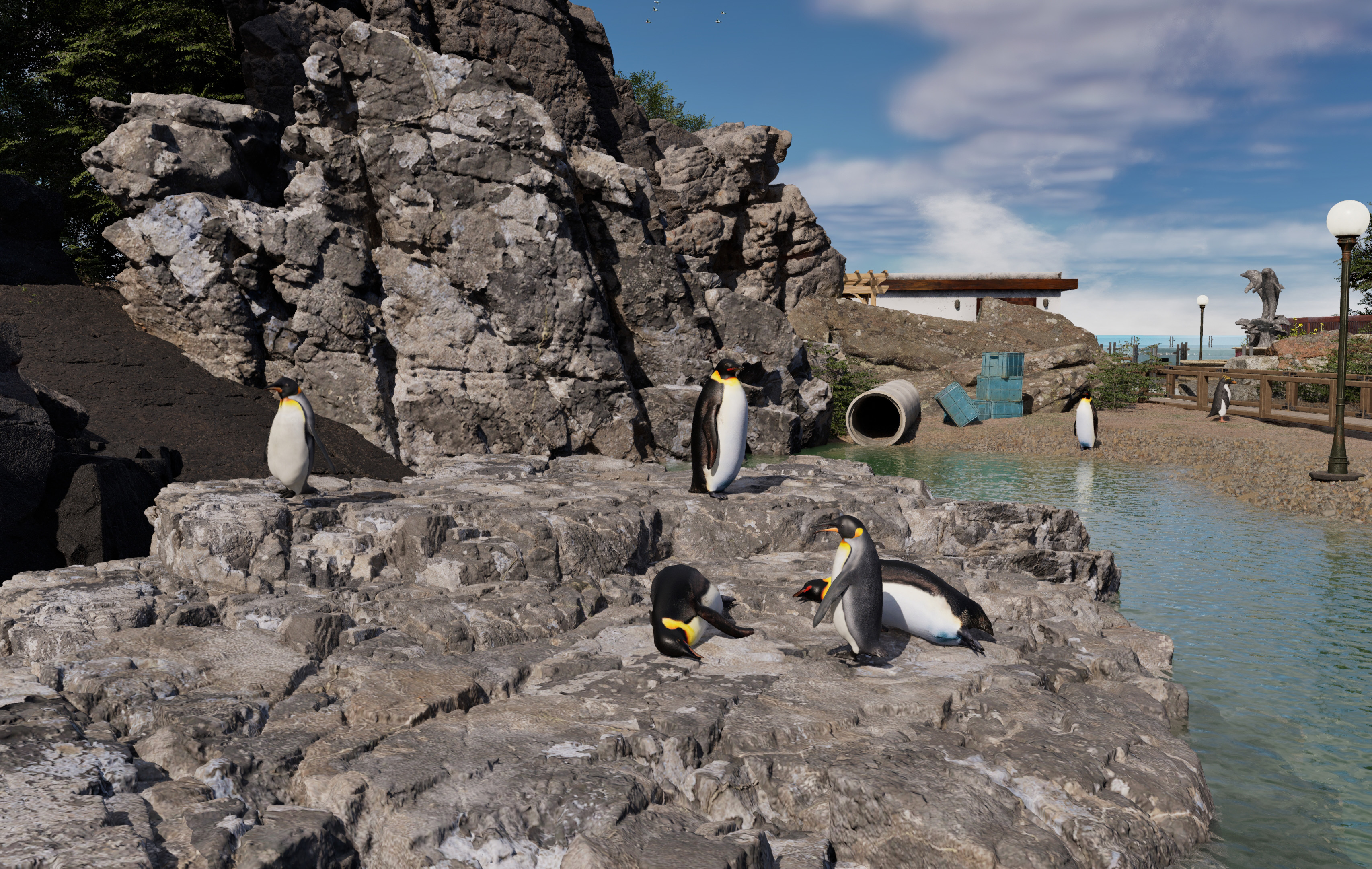 VR therapy simulation depicting king penguins on rocky terrain next to a pond, designed to create a calming, naturalistic environment for therapeutic purposes.