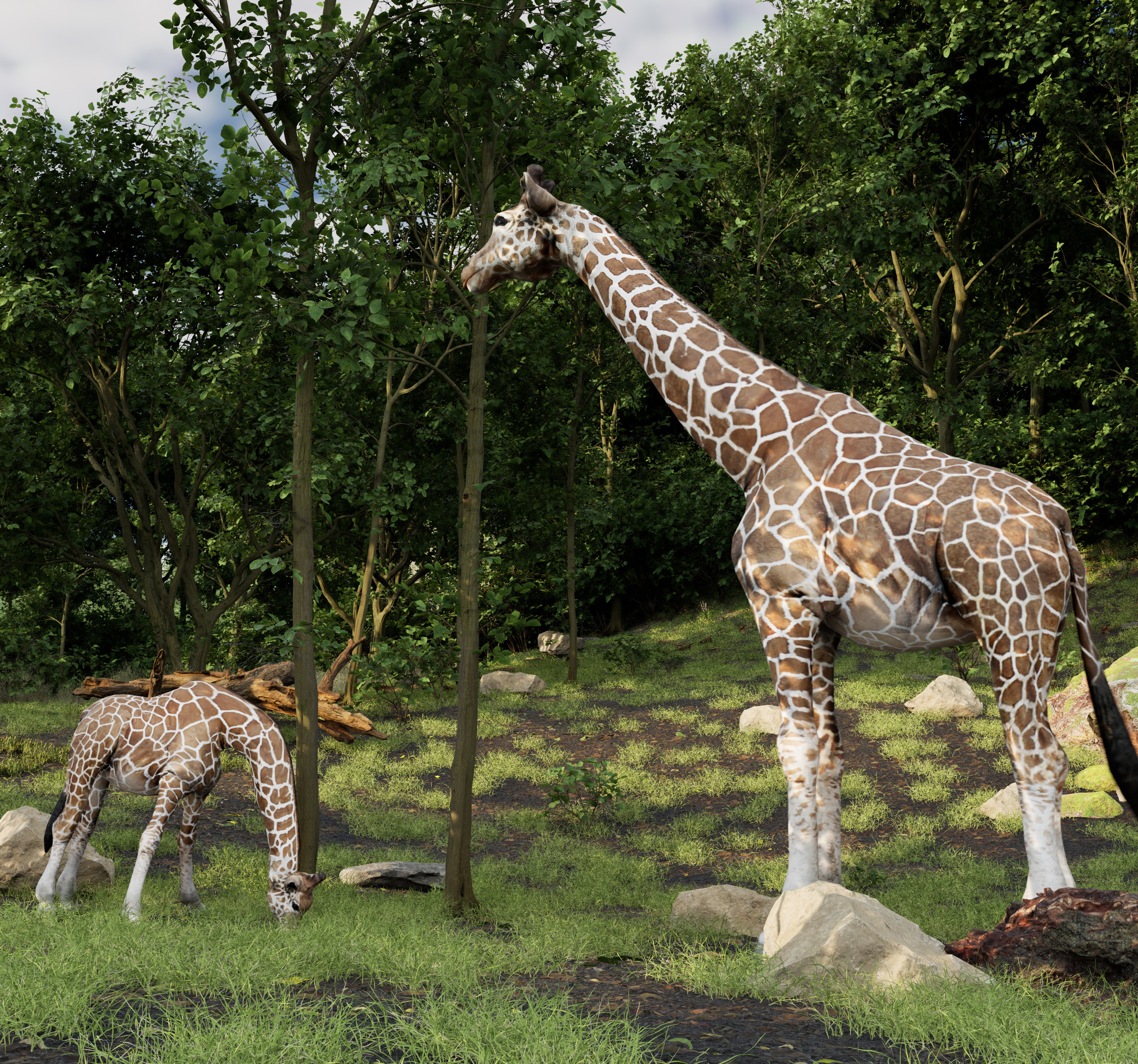 Virtual reality in pain management scene showcasing giraffes in a forested habitat, designed to provide a soothing and immersive experience for therapeutic purposes.