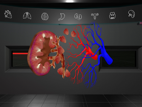  	
virtual reality medical education